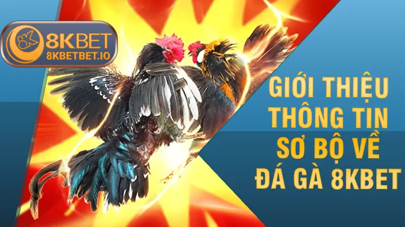 Giới thiệu thông tin sơ bộ về đá gà 8KBET
