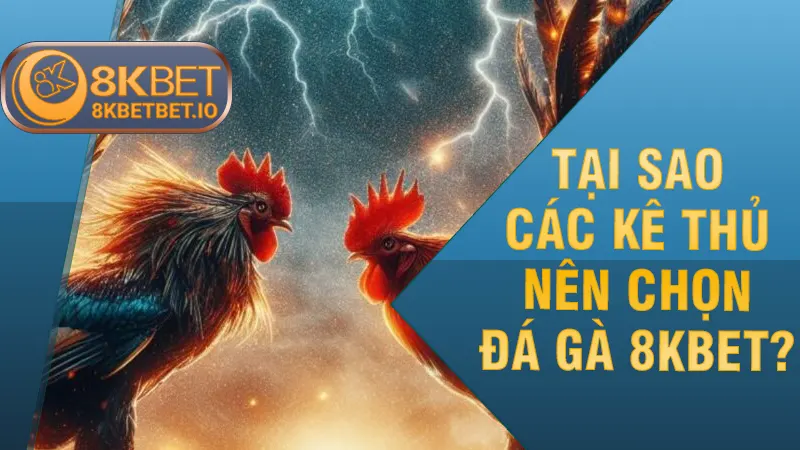 Tại sao các kê thủ nên chọn đá gà 8KBET?