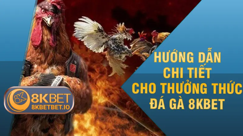 Hướng dẫn chi tiết cho thưởng thức đá gà 8KBET