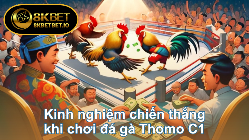 Đá Gà Thomo C1 - Tận Hưởng Sự Bùng Nổ Của Chiến Kê 7 Kinh nghiệm chiến thắng khi chơi đá gà Thomo C1