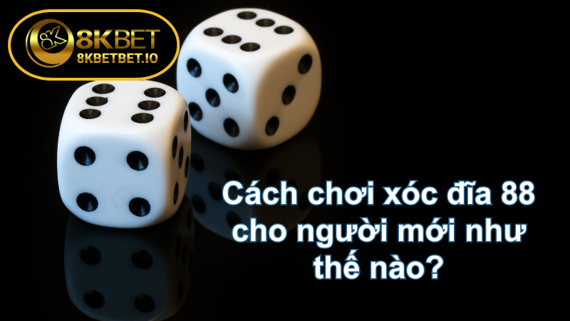 Xóc Đĩa 88 - Uy Tín Chất Lượng Hàng Đầu 8KBET 6 Cách chơi xóc đĩa 88 cho người mới như thế nào?